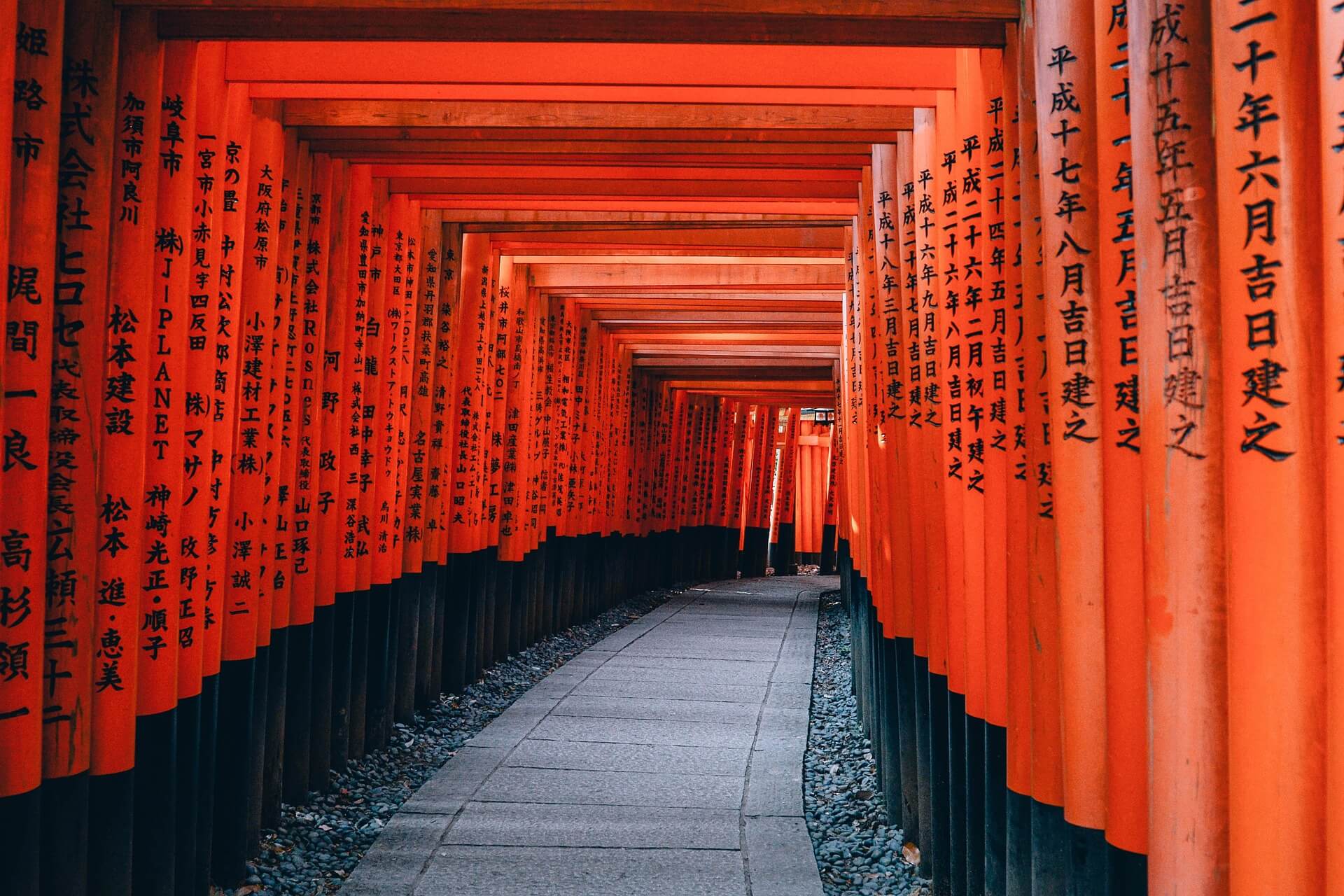 Un chemin sous les torii