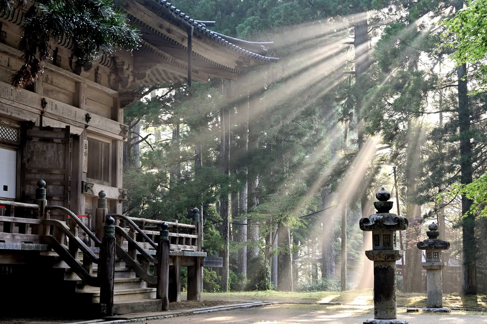 Un magnifique temple en pleine foret