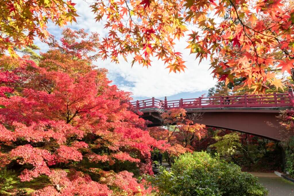 Un pont dans un magnifique parc