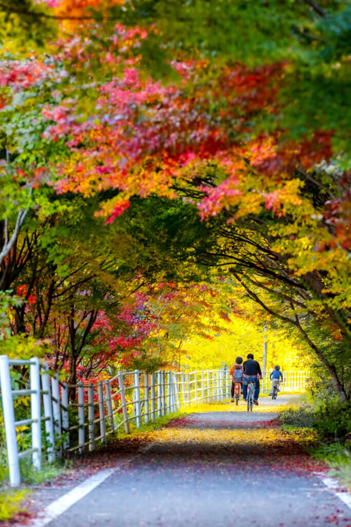 Une piste cyclable à Oita