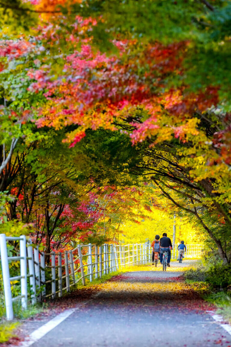 Une piste cyclable à Oita